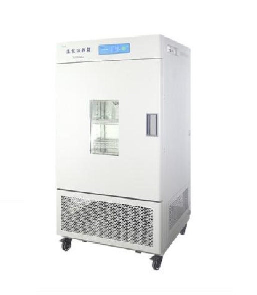 一恒霉菌培养箱BPMJ（培养箱系列）