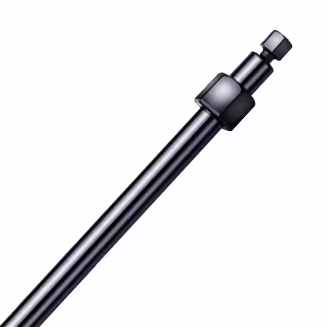 赛默飞Dionex™ IonPac™ AmG-3µm C18 分析和保护柱